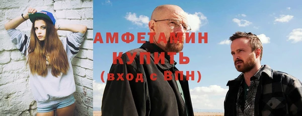 гидра Богданович