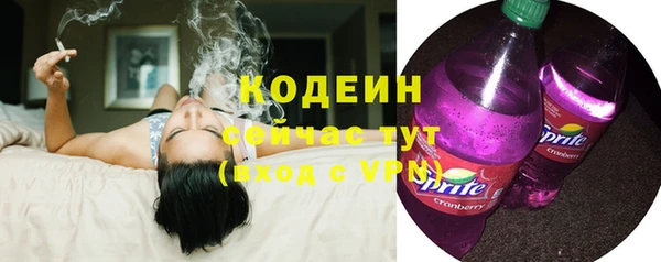 mix Богородицк