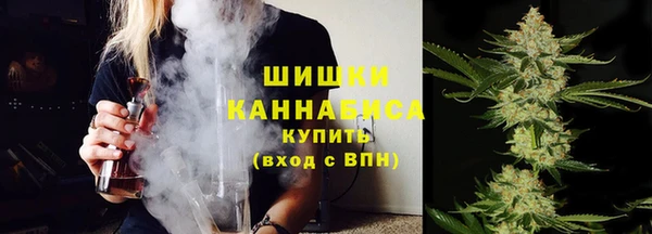 mix Богородицк