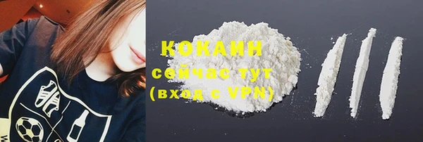 гидра Богданович