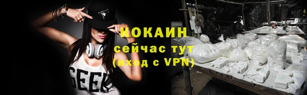 mix Богородицк
