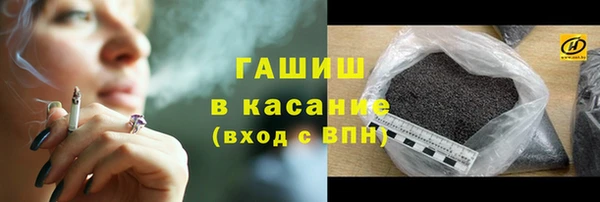 гидра Богданович