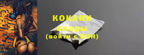 прущие грибы Богородск