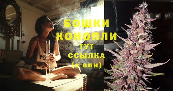 прущие грибы Богородск