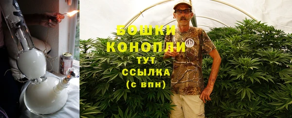 гидра Богданович