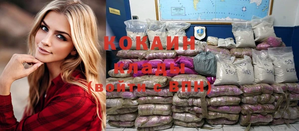 mix Богородицк