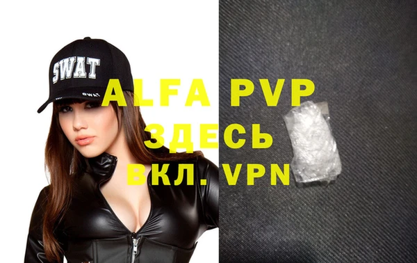 гидра Богданович