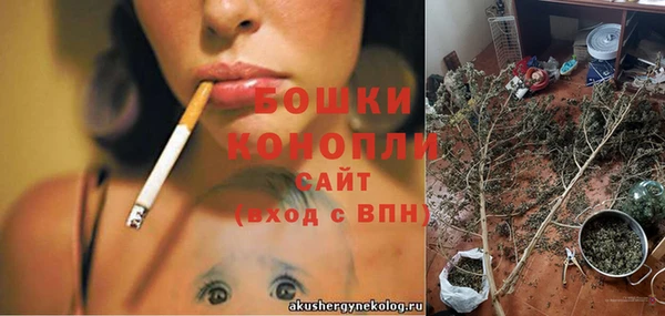 прущие грибы Богородск