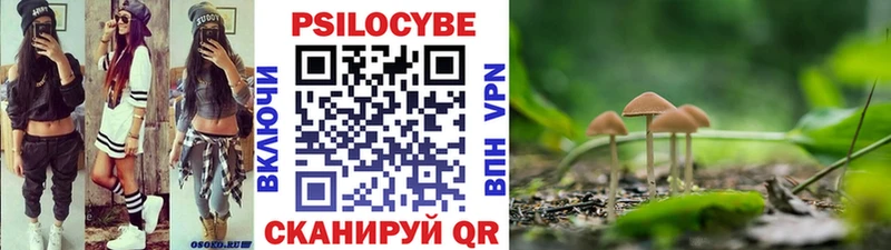 Галлюциногенные грибы Magic Shrooms Комсомольск