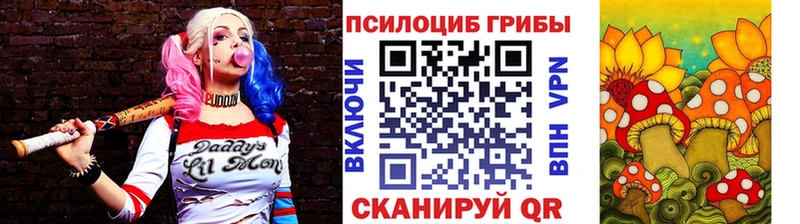Галлюциногенные грибы Psilocybe  Комсомольск 